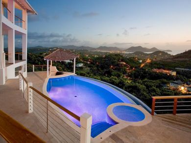 Pool & hot tub with tiki hut