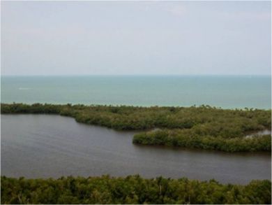 Gulf view