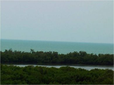 Gulf view