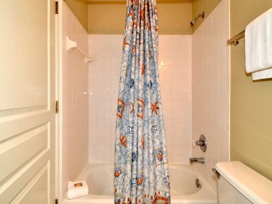 Bathroom with shower in tub