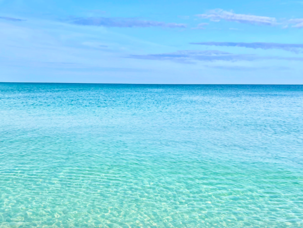 Your Boutique Gulf Coast Getaway in Longboat Key
