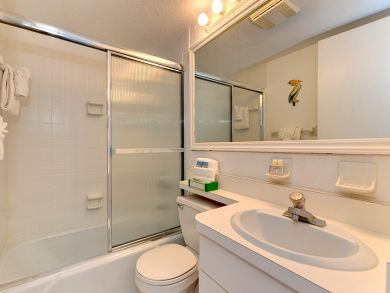 Bathroom with Shower in Tub