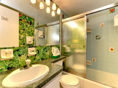 Bathroom with Shower Over Tub Bathroom with Shower Over Tub