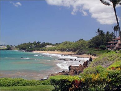 Ocean view Ocean view