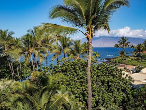 Wailea Oceanfront Condo Rental - Maui Beach Vacation Accommodation