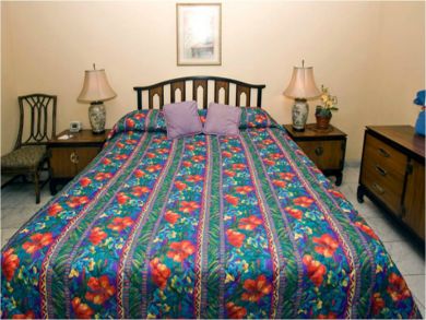 Kihei Condo 882783