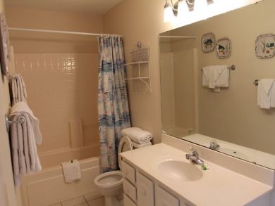Bathroom with shower in tub