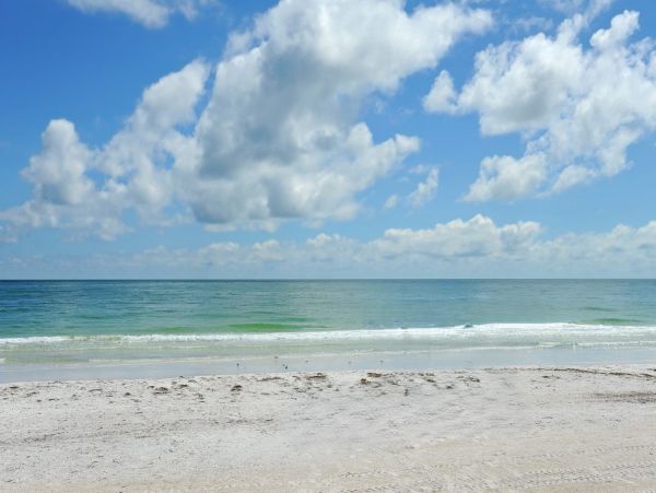 Anna Maria Island Large Group Vacation Rental 8BR Luxury Home
