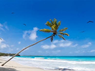 Holmes Beach Value Two Bedroom Rental