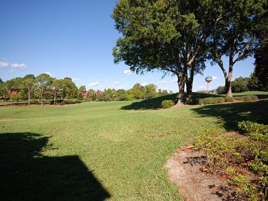 Backyard view