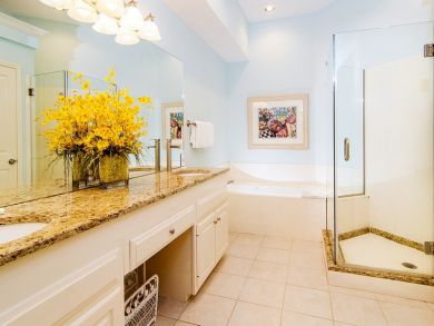 Master bathroom with jacuzzi & walk-in shower Master bathroom with jacuzzi & walk-in shower