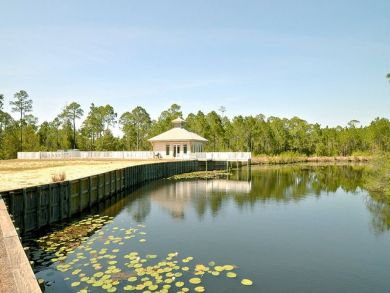 Community lake Community lake