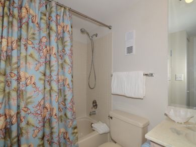 Guest bathroom with shower in tub Guest bathroom with shower in tub