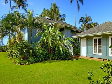 Garden with tropical vegetation