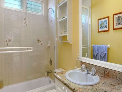 Bathroom with shower in tub