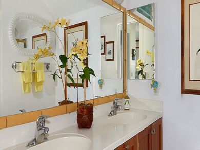 Master bathroom with double vanity Master bathroom with double vanity