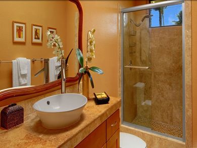 Bathroom with walk-in shower