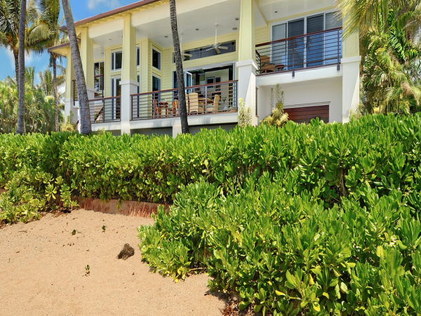 Stunning 3 bedroom Beachfront Property