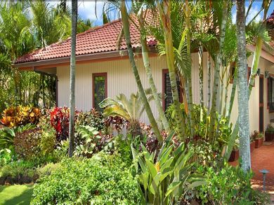 Tropical garden Tropical garden