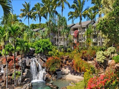 Tropical pond with waterfall