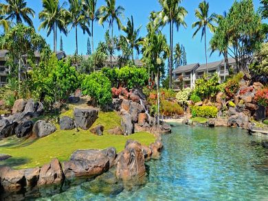 Hanalei Condo 883215