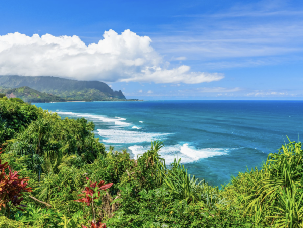 Ocean View Condo for Rent in Kauai Sleeps 6 Guests
