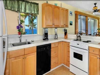 Fully equipped kitchen Fully equipped kitchen