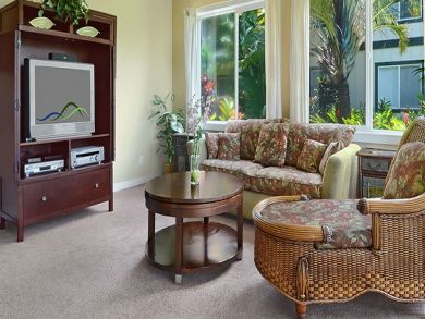 Living room with flat screen TV Living room with flat screen TV