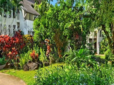 Lush gardens Lush gardens