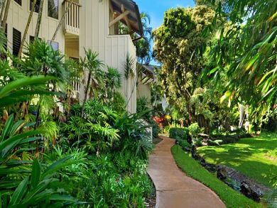 Tropical vegetation on walking paths Tropical vegetation on walking paths