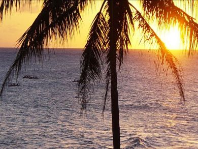 Wonderful sunsets