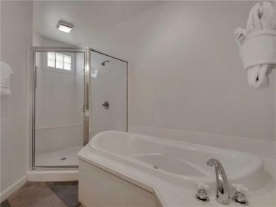 Bathroom - Separate shower and tub