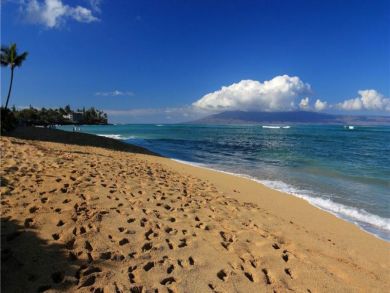 Beach View