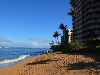 Ocean & Beach View