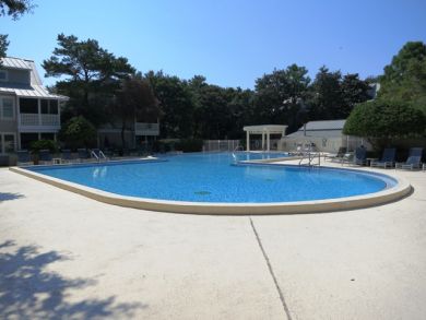 Communal Pool