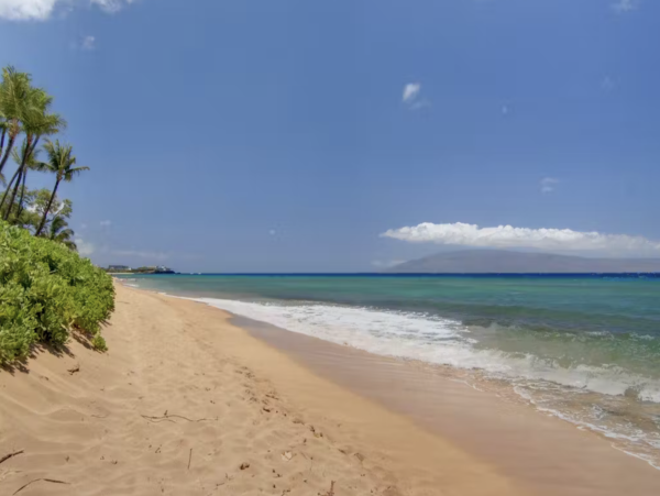 Pacific Ocean Almost at Your Door The number 1 Vacation Rental
