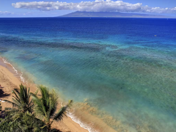 Pacific Ocean Almost at Your Door The number 1 Vacation Rental