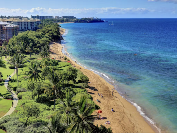 Pacific Ocean Almost at Your Door The number 1 Vacation Rental
