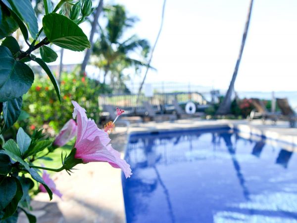 Oceanfront Vacation Condo One Bedroom