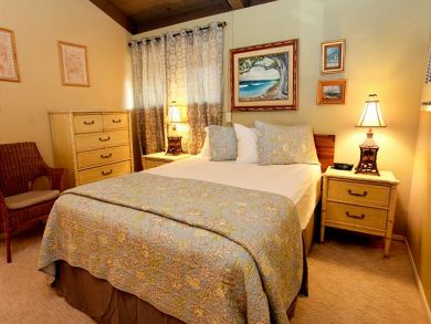 Kihei Condo 883487