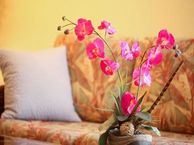 Khei 2 Bedroom Vacation Rental Option Beach, Pool Views!