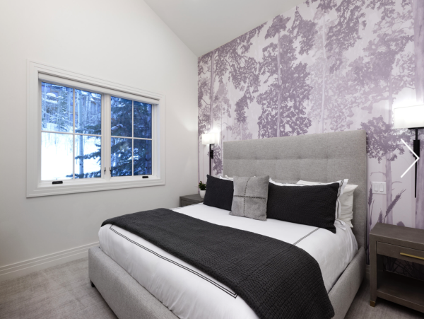 World Class 7- bedroom Ski In Ski Out Chalet Snowmass