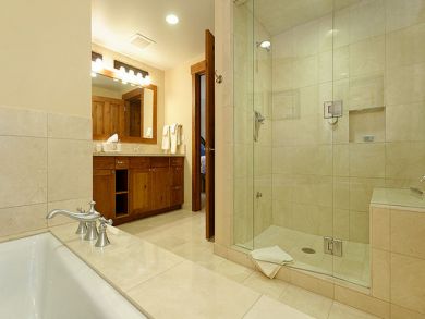 Master bathroom with jacuzzi tub & walk-in shower
