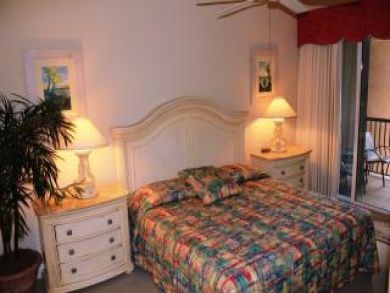 Guest bedroom with king bed