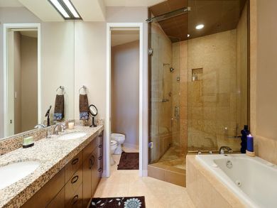Master bathroom with jacuzzi tub & walk-in shower