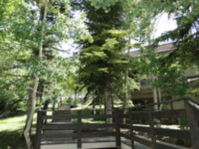 Park City Deer Valley Canyons Resort Home 883676