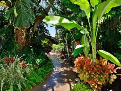 Lahaina Vacation Condo Sleeps Six Guests