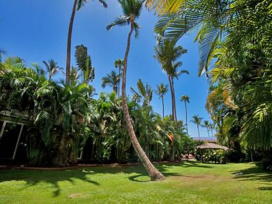 Lahaina Vacation Condo Sleeps Six Guests