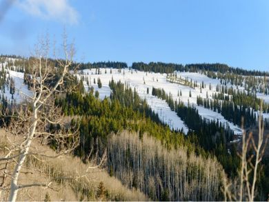 Aspen Luxury Vacation Rental Home. with Six Bedrooms - additional view, photo 5