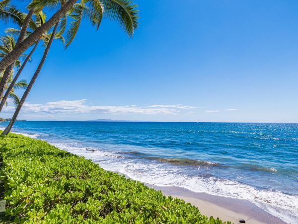 Oceanfront Maui Vacation Rental - Lahaina Condo Rental with Lanai & Pool